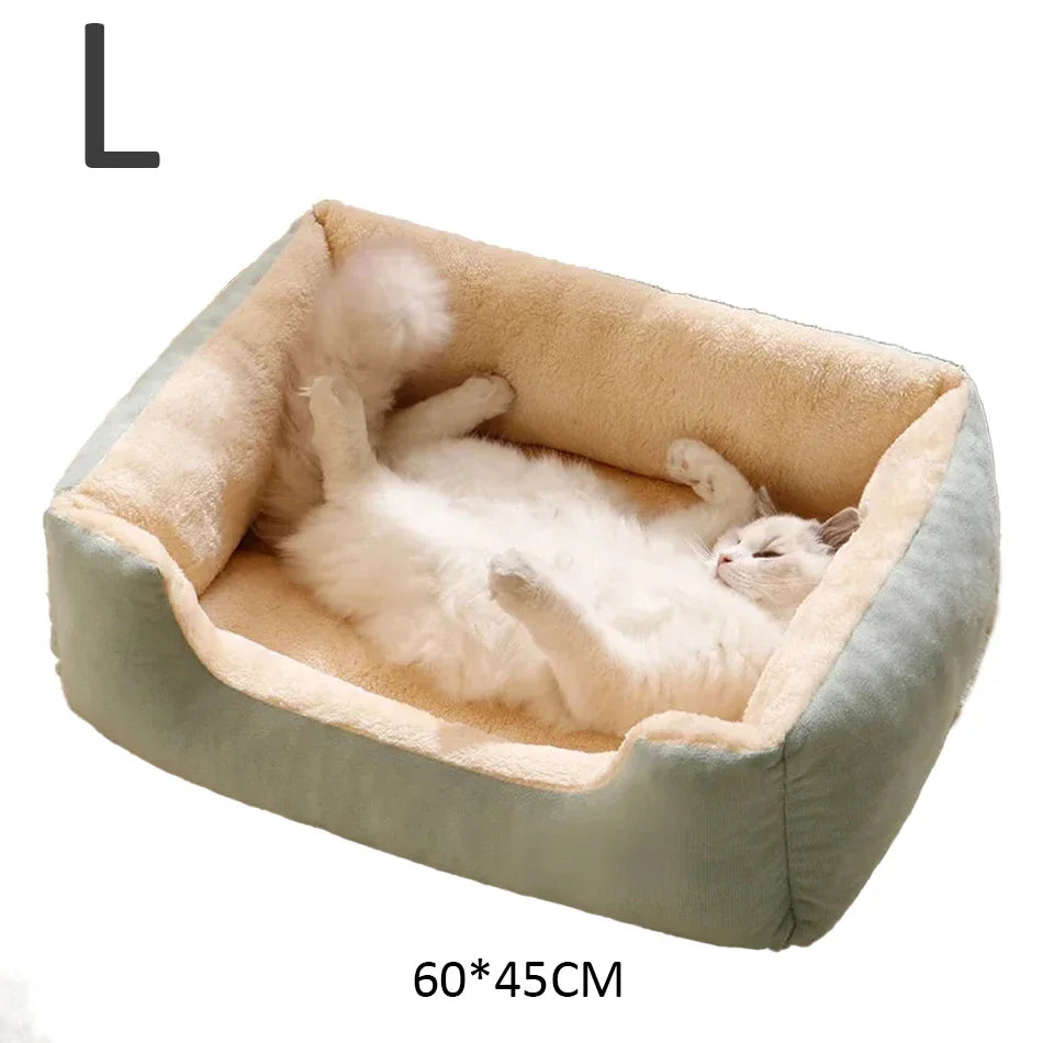 Cat bed