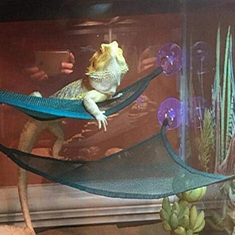 Reptile hammock