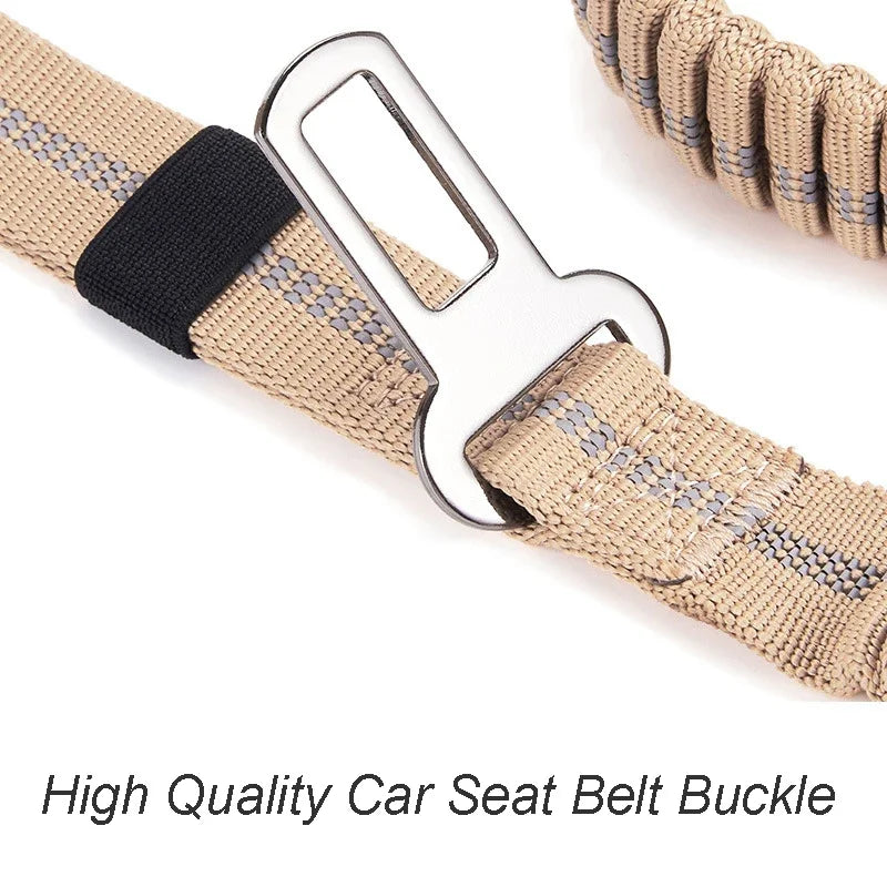Leash with Car Seatbelt option