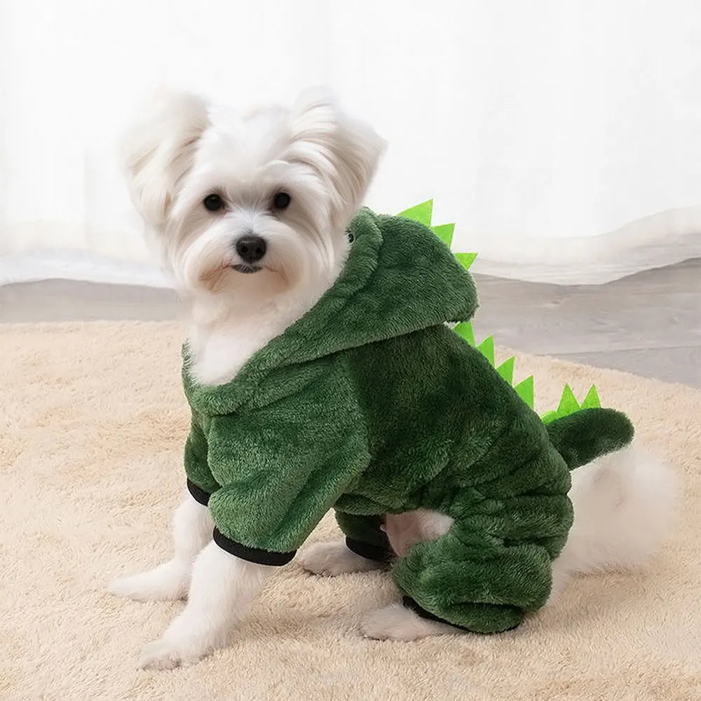 Dinosaur PJ's