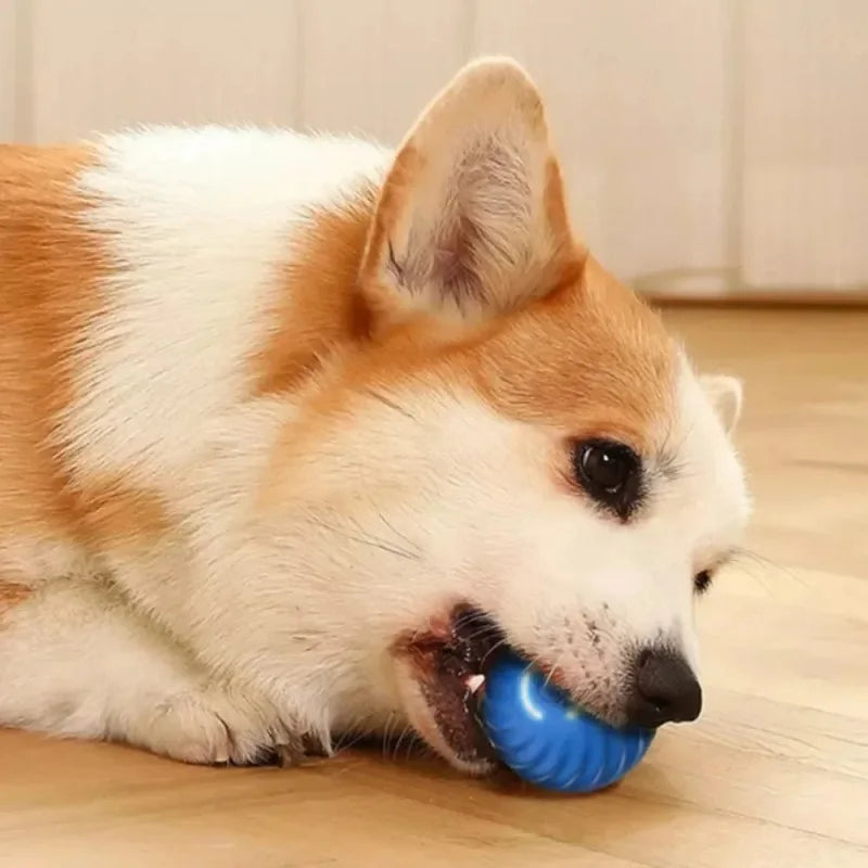 Gravity ball