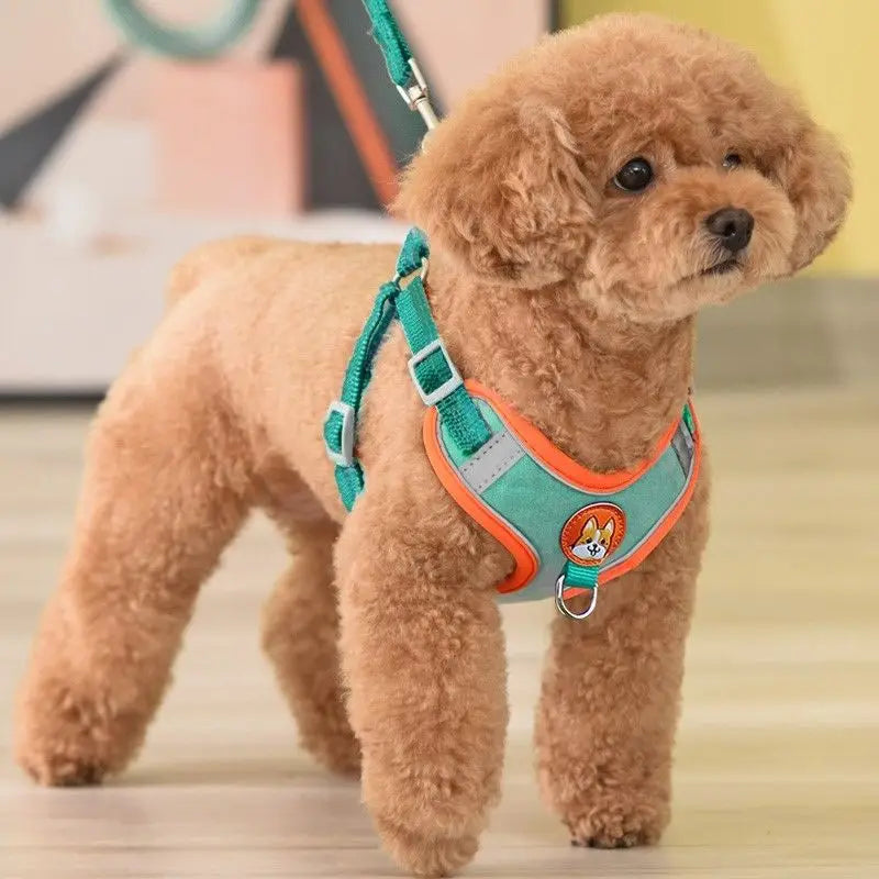 Front clip medium harness