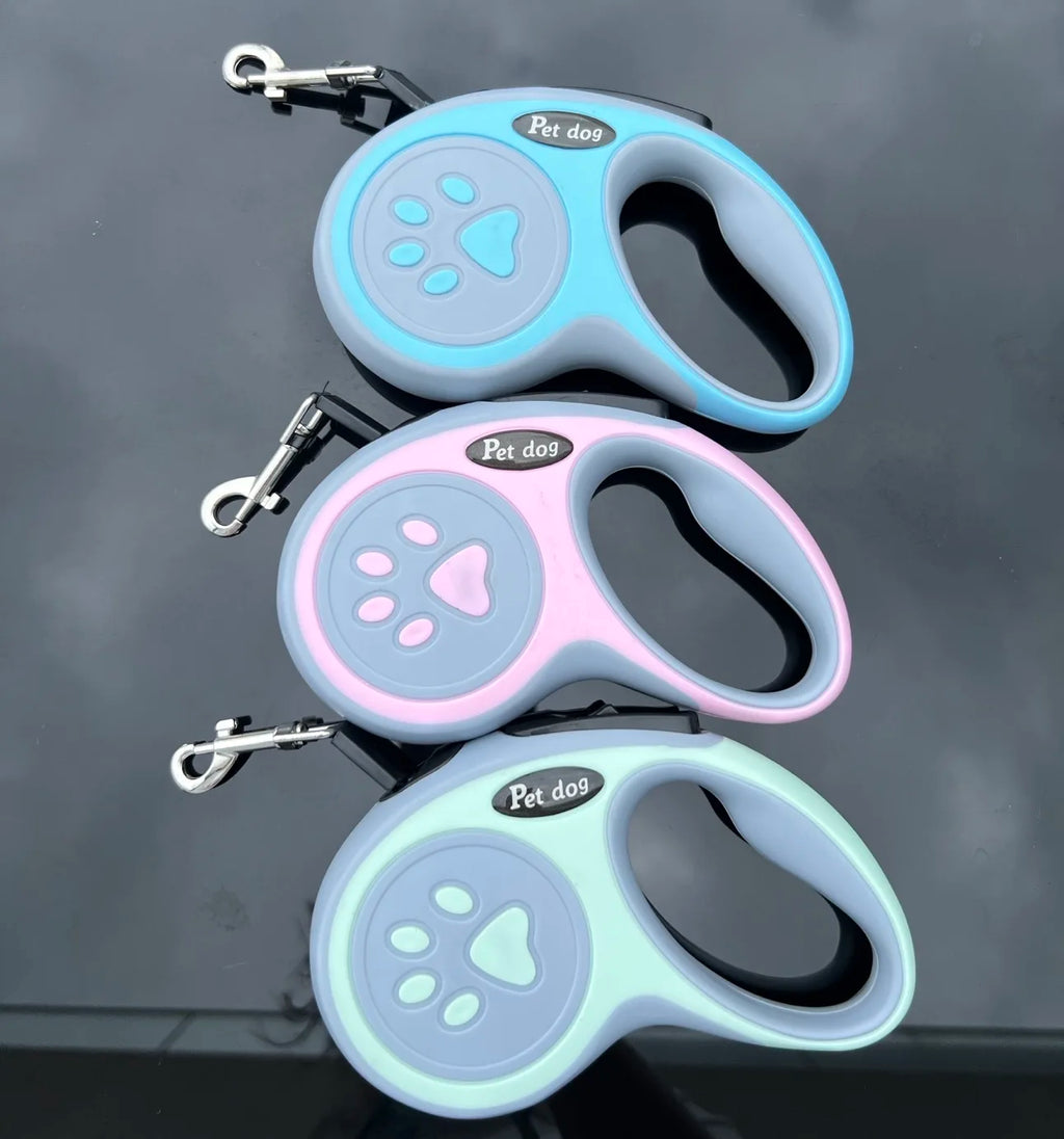Auto retract leash