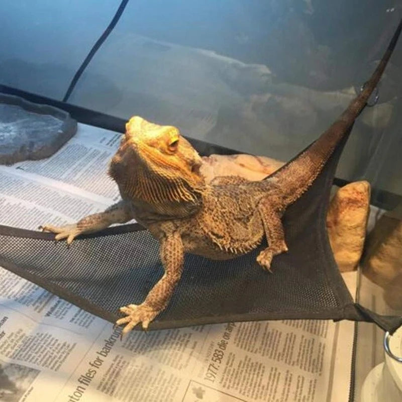 Reptile hammock