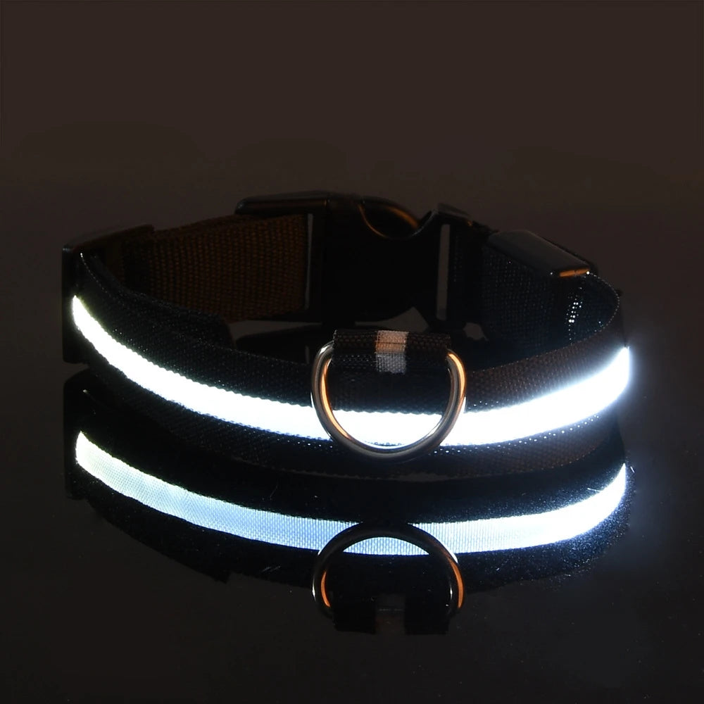 Glow in the dark collar