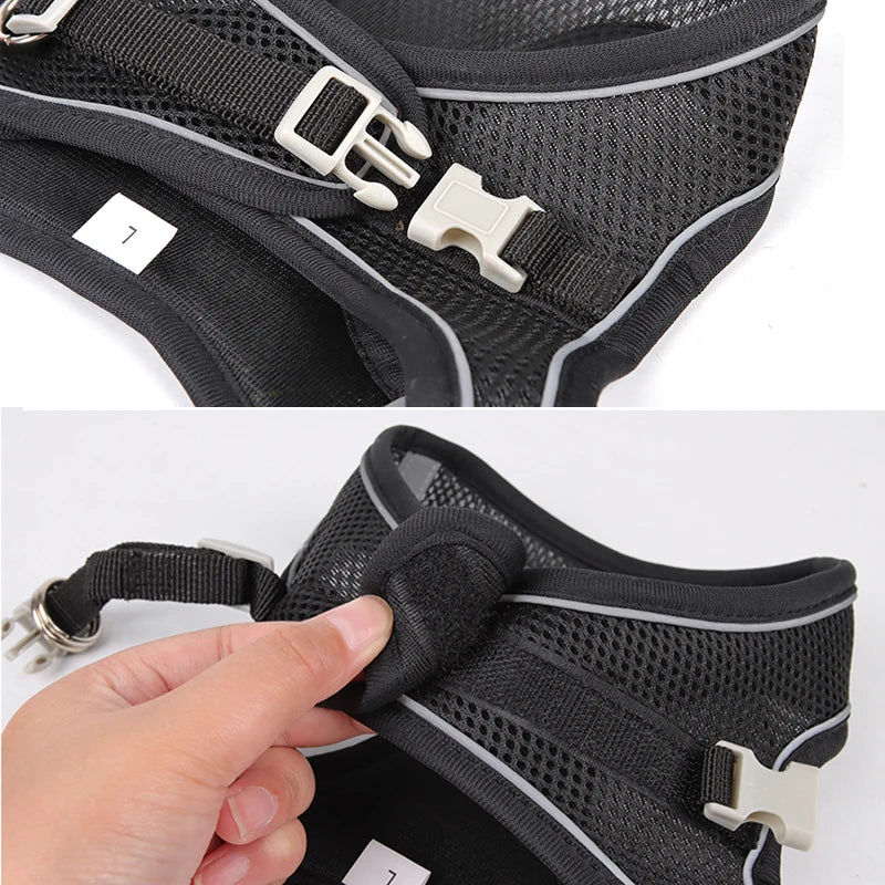 Reflective harness for small pets