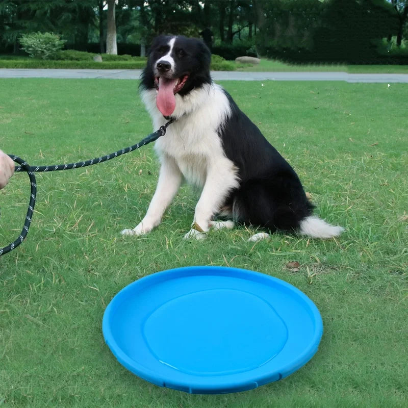 Frisbee