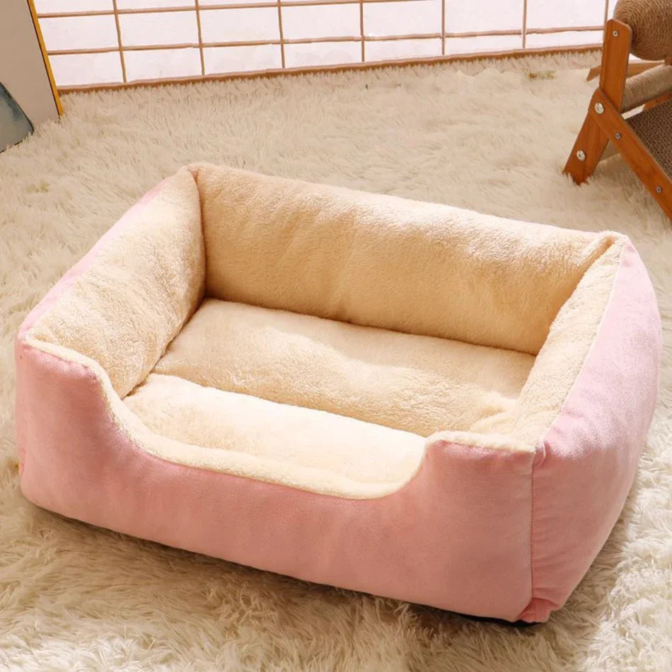Cat bed