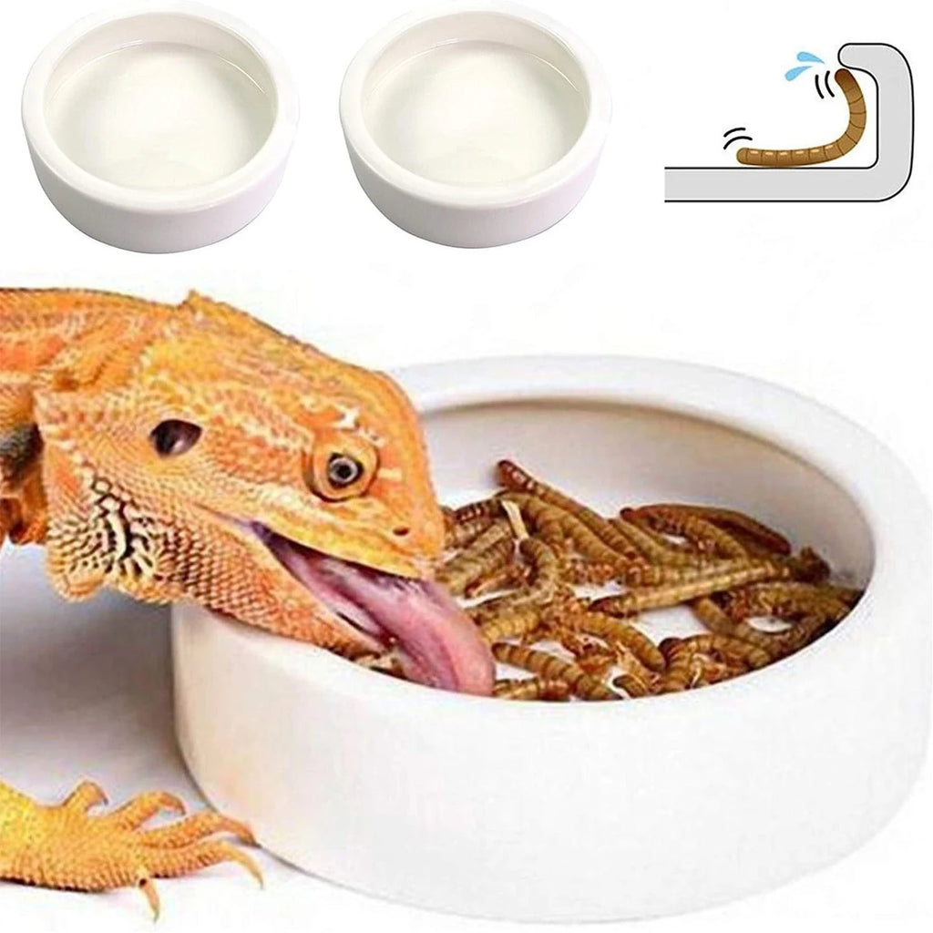 Feed and water bowl