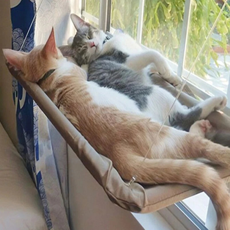 Window hammock