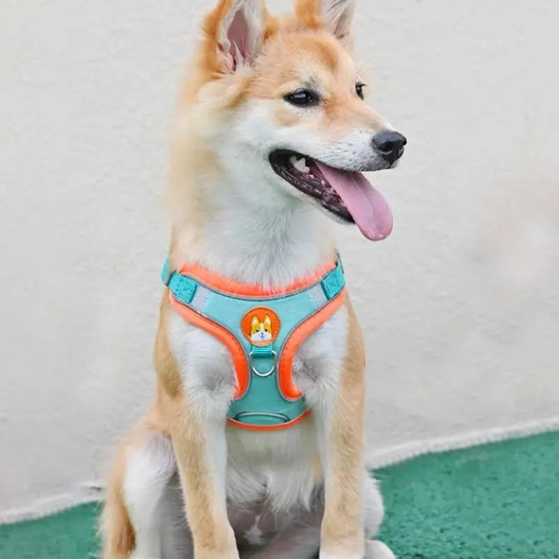 Front clip medium harness
