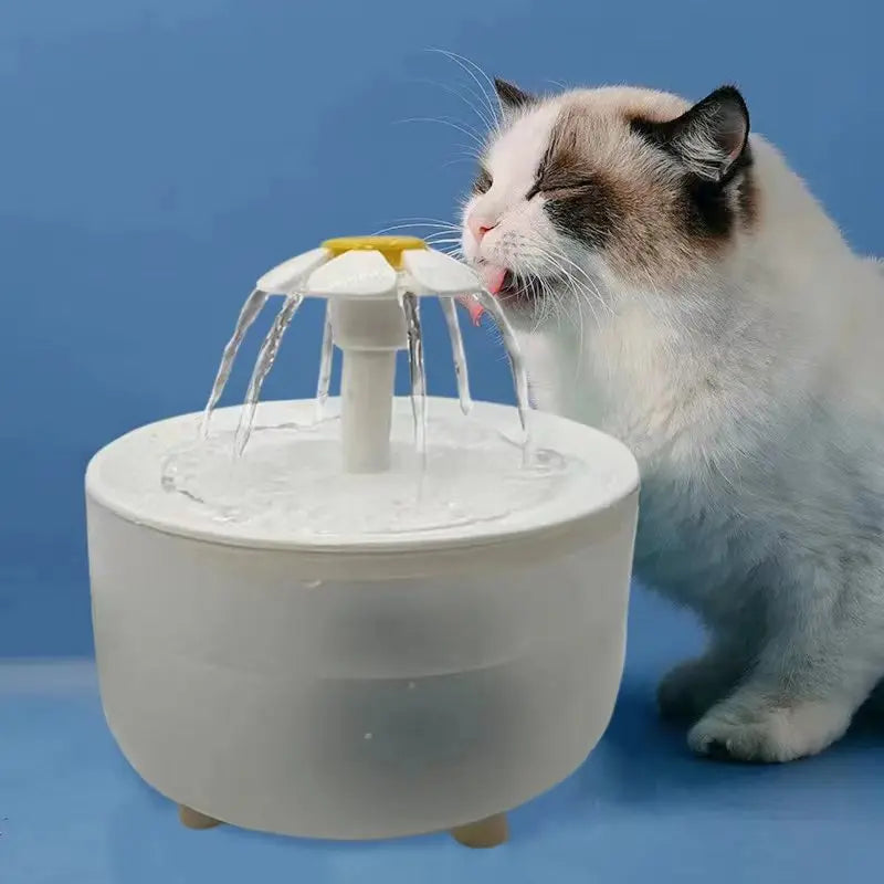 Drinking fountain