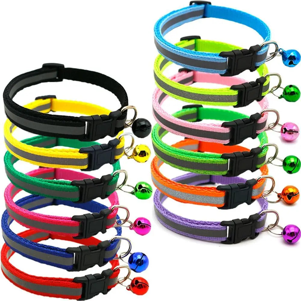 Reflective collar