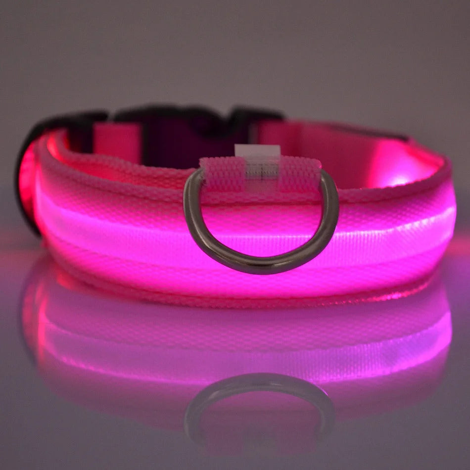 Glow in the dark collar