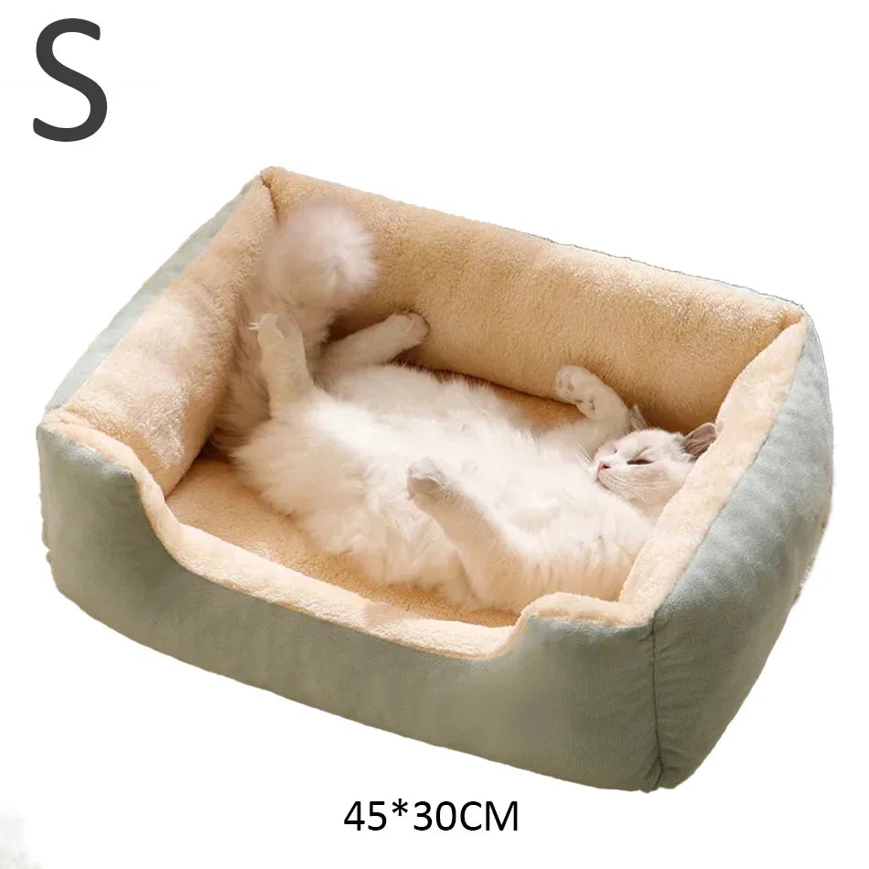 Cat bed