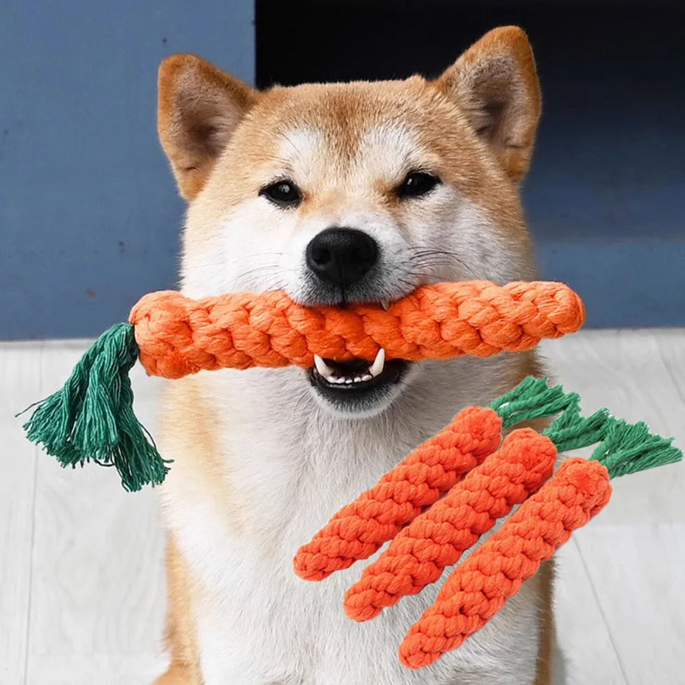 Carrot rope
