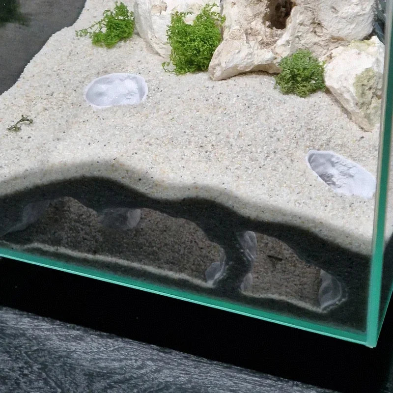 Under water aquarium tunnel