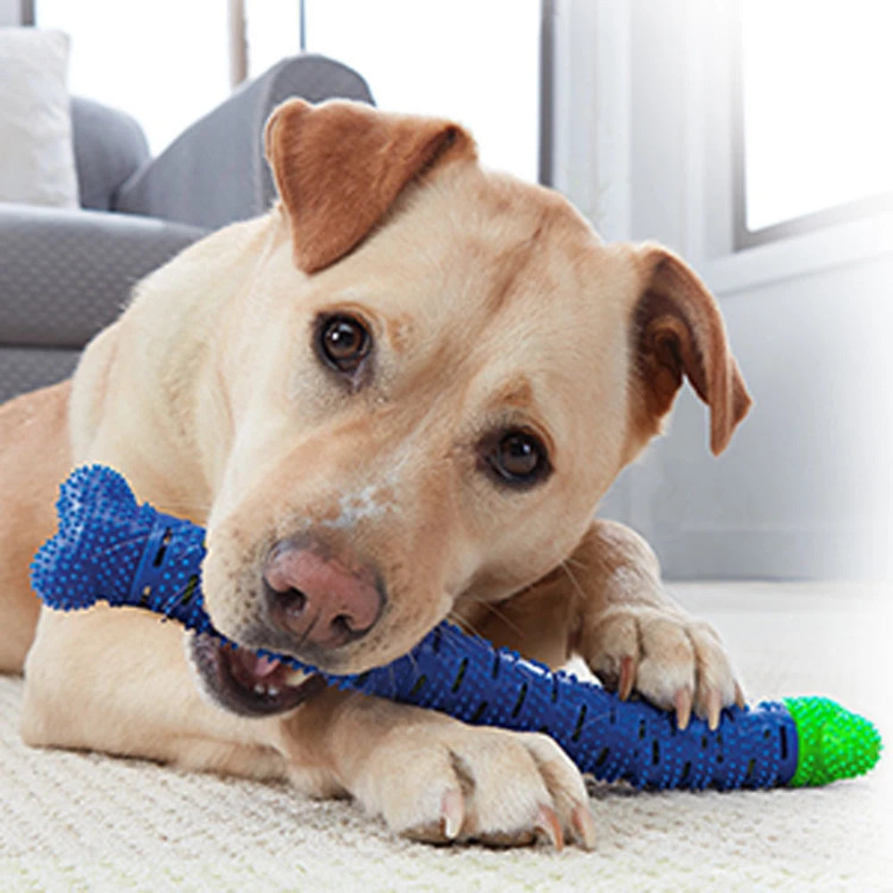 Chewbrush