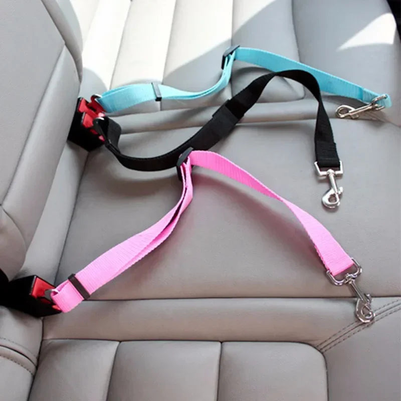Pet seat belt