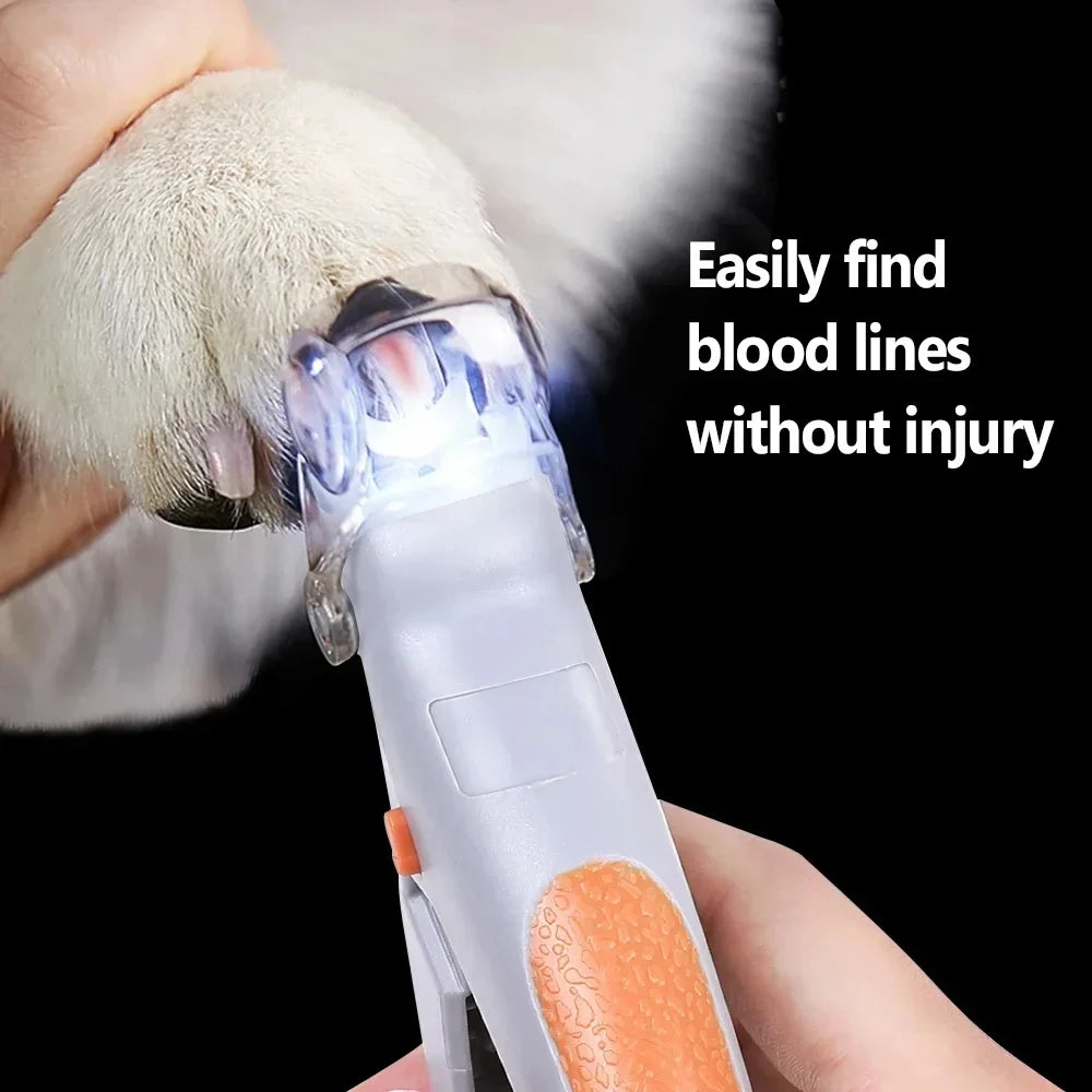 Nail clippers with light