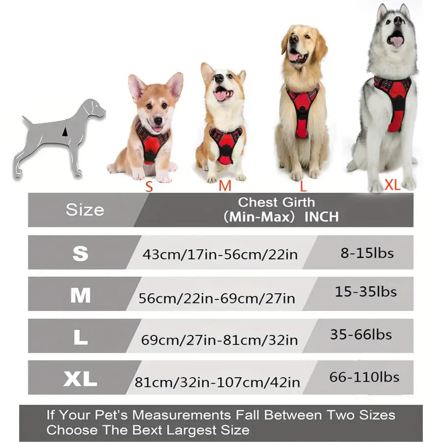 Front clip harness
