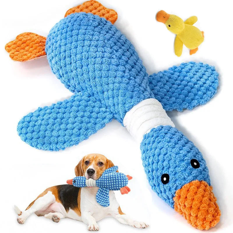 Squeaky duck