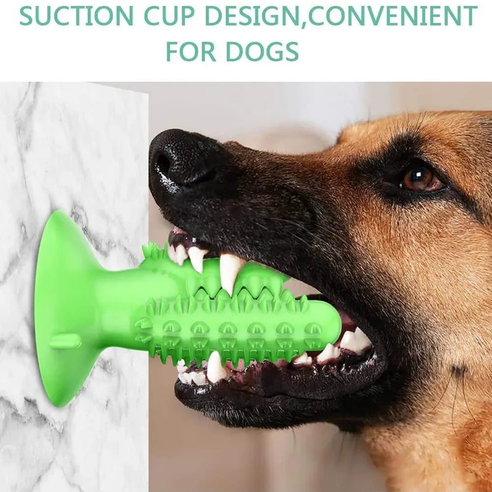 Toothbrushing toy