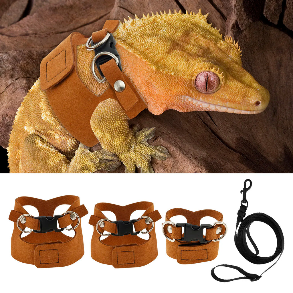 Small animal harness