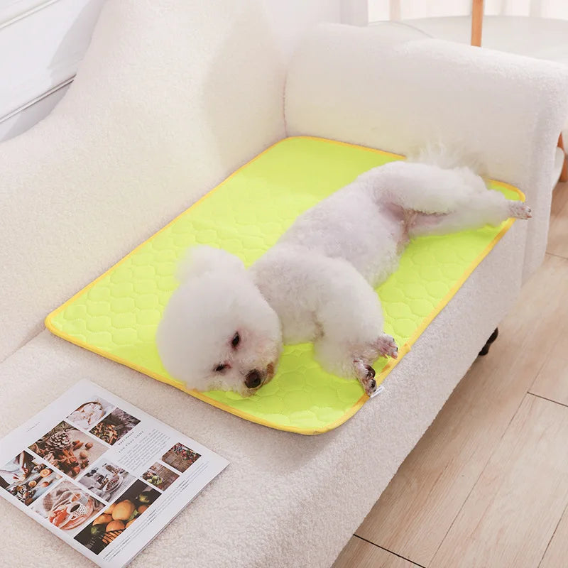 Washable pee pads