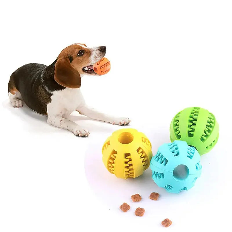 Enrichment chew ball