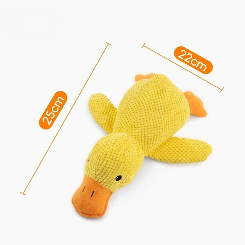 Squeaky duck