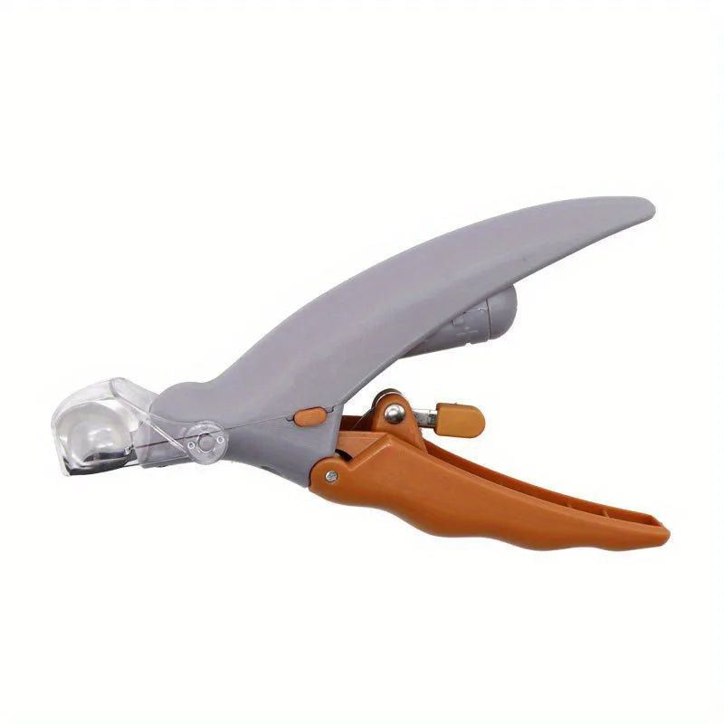 Nail clippers with light