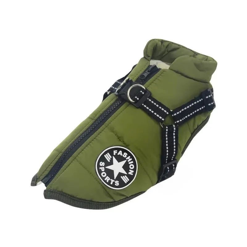 Winter jacket with harness