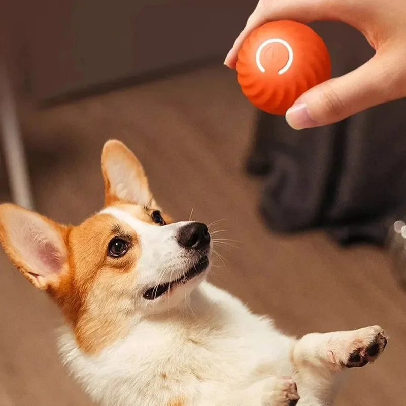 Gravity ball