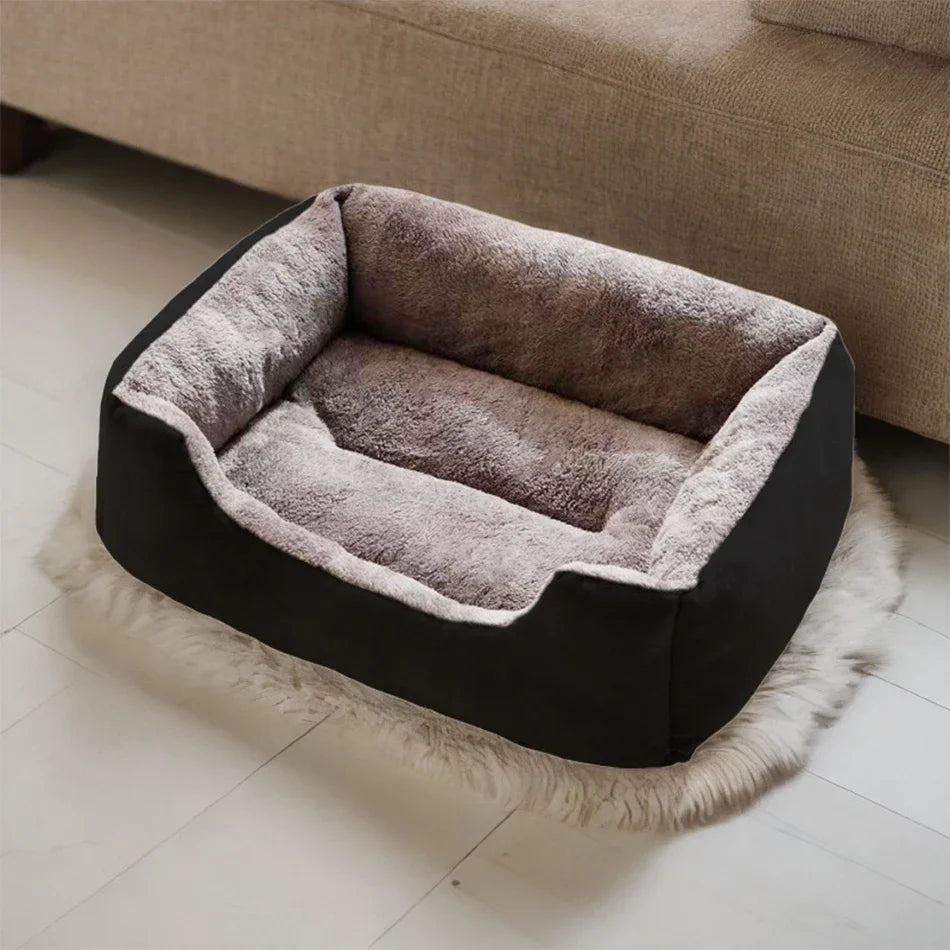 Cat bed