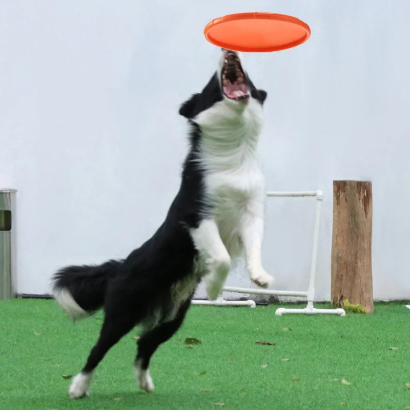 Frisbee