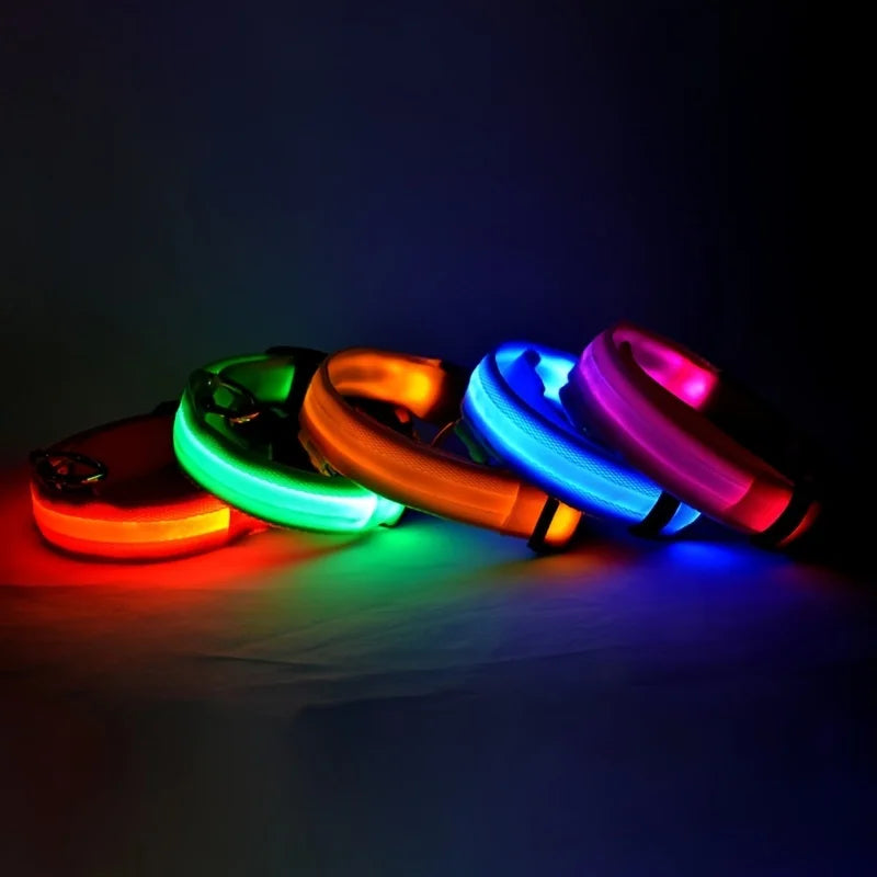 Glow in the dark collar