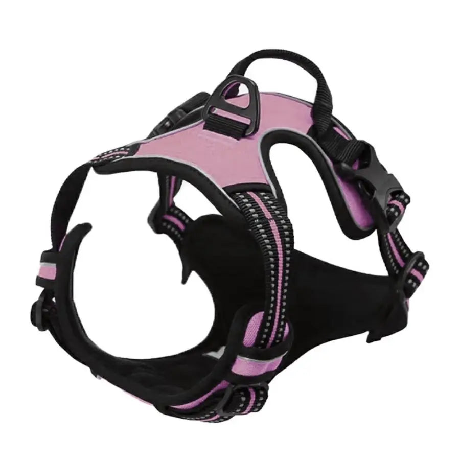 Front clip harness