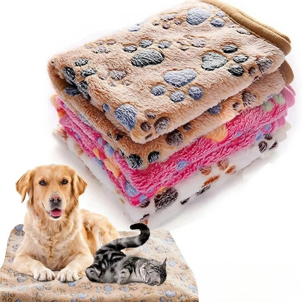 Plush Blanket