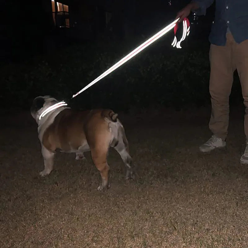Reflective pet leash