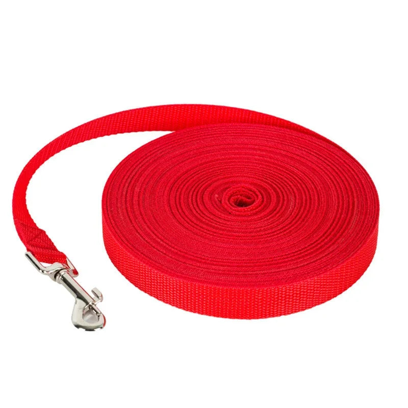 Long leash for small pets