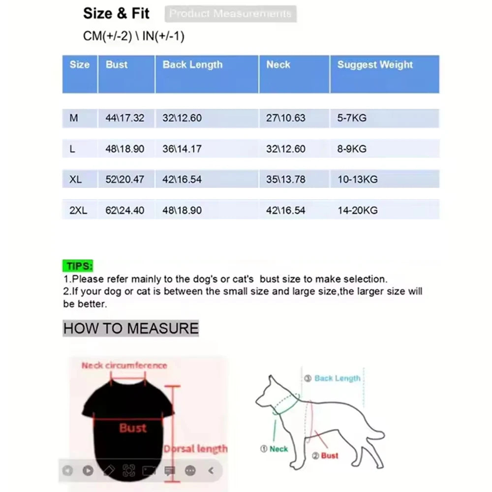 Water and windproof raincoat