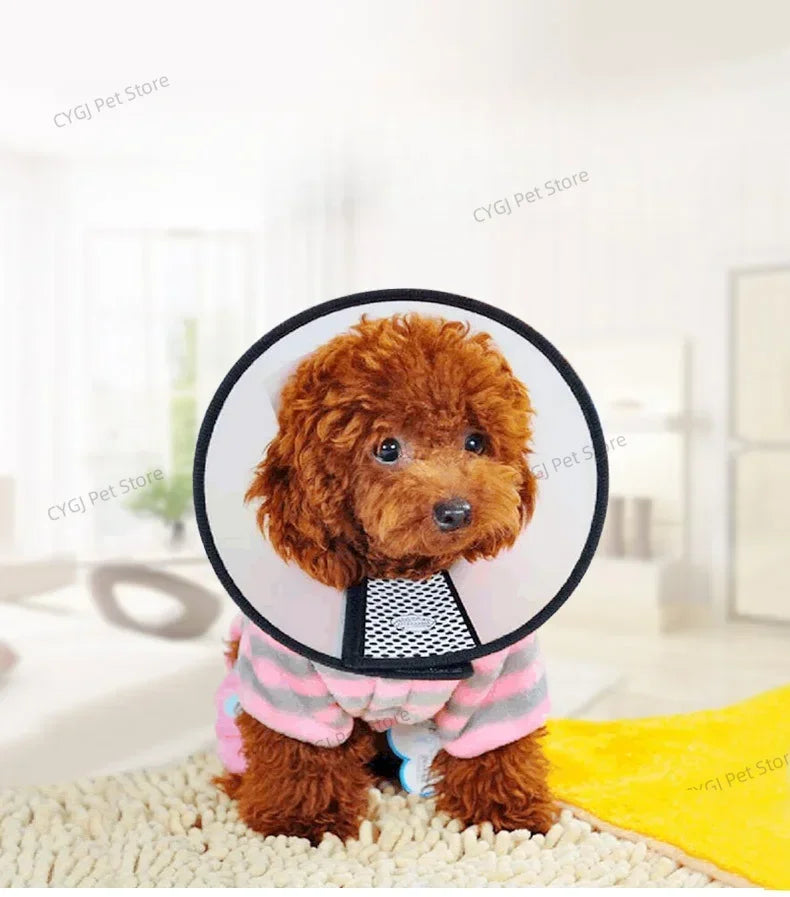 Anti-scratch and bite cone