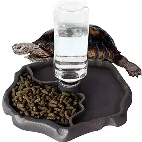 Reptile feeder and water bowl