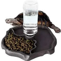 Reptile feeder and water bowl
