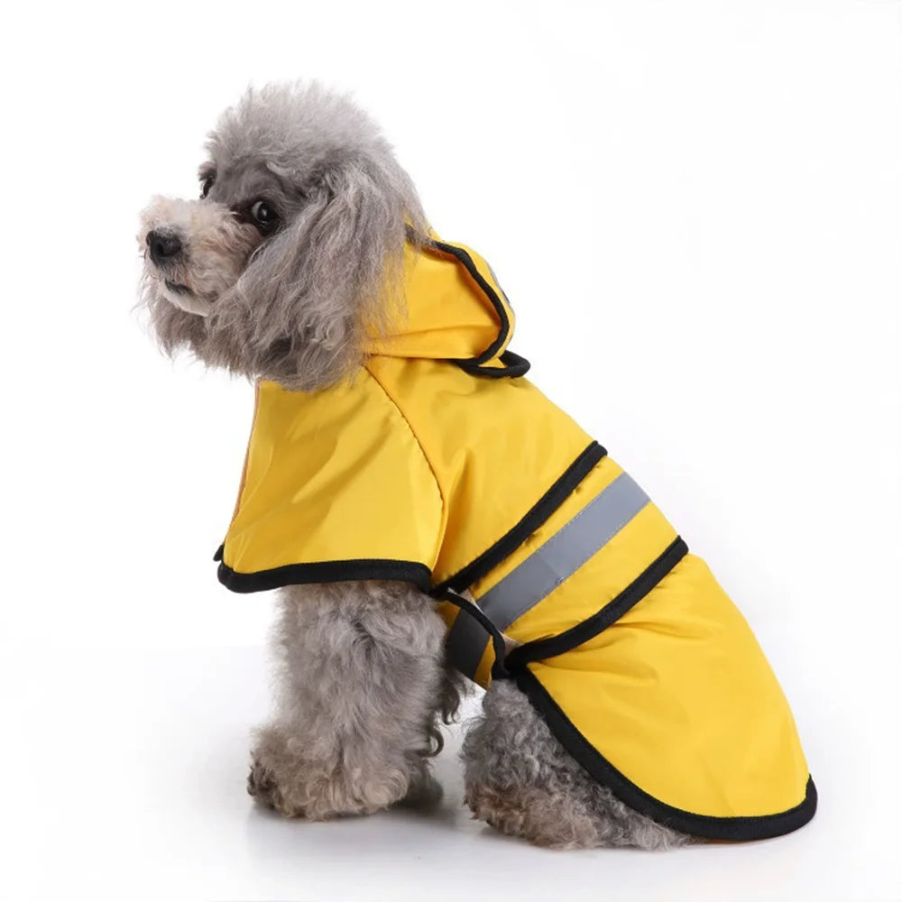 Water and windproof raincoat