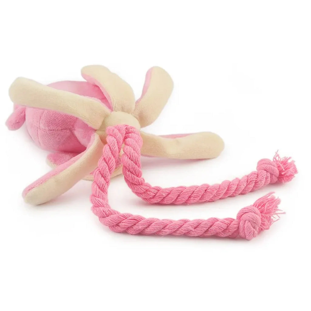 Squid chew