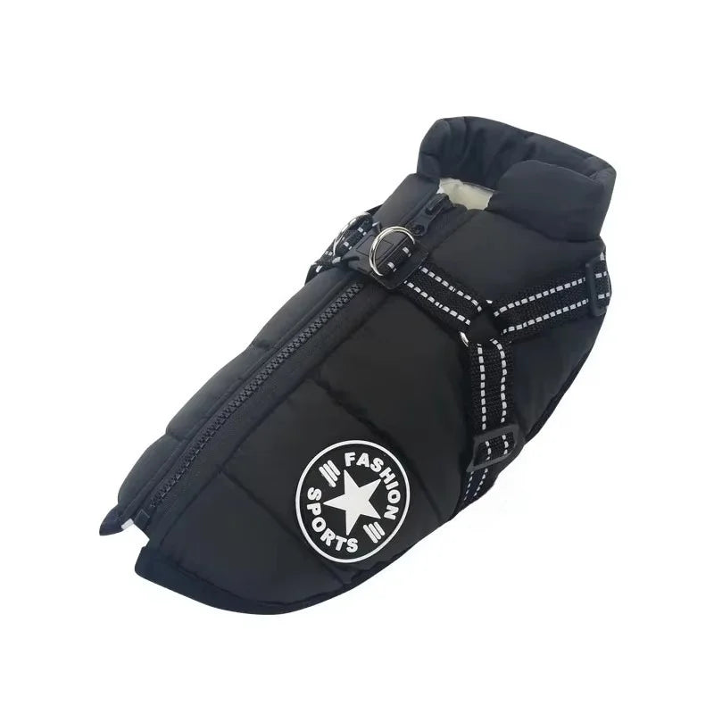 Winter jacket with harness