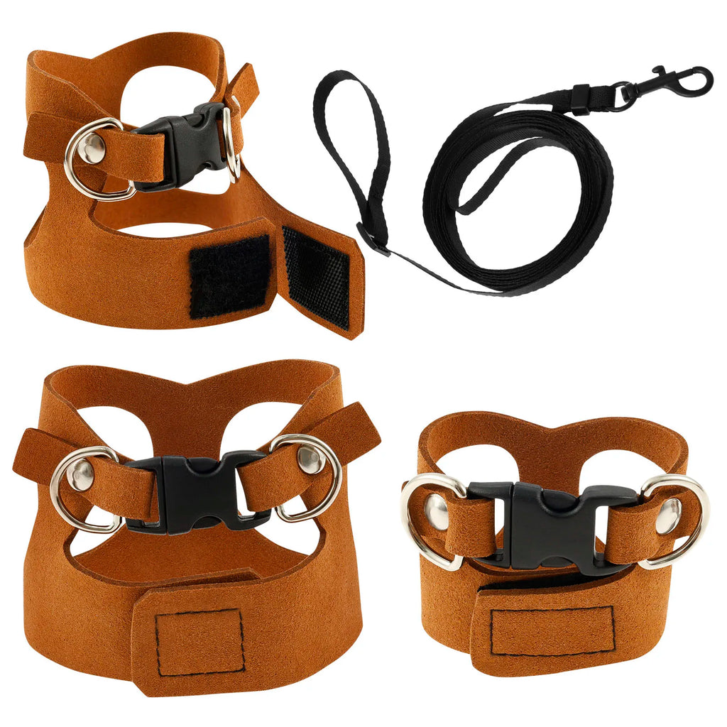 Small animal harness