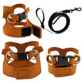 Small animal harness